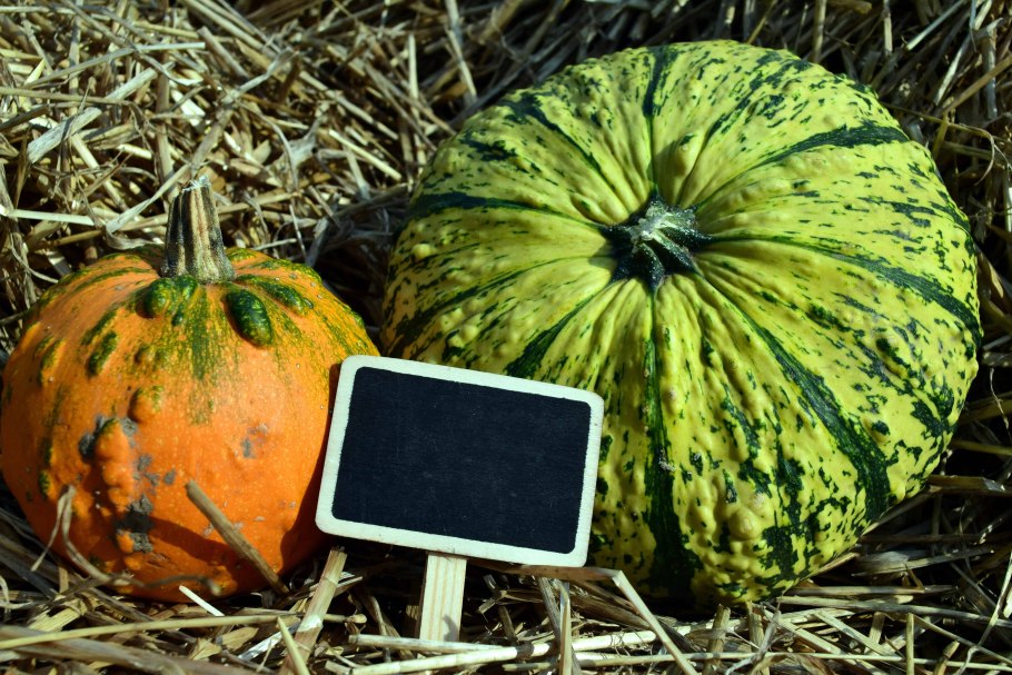 Тыква буш баттеркап