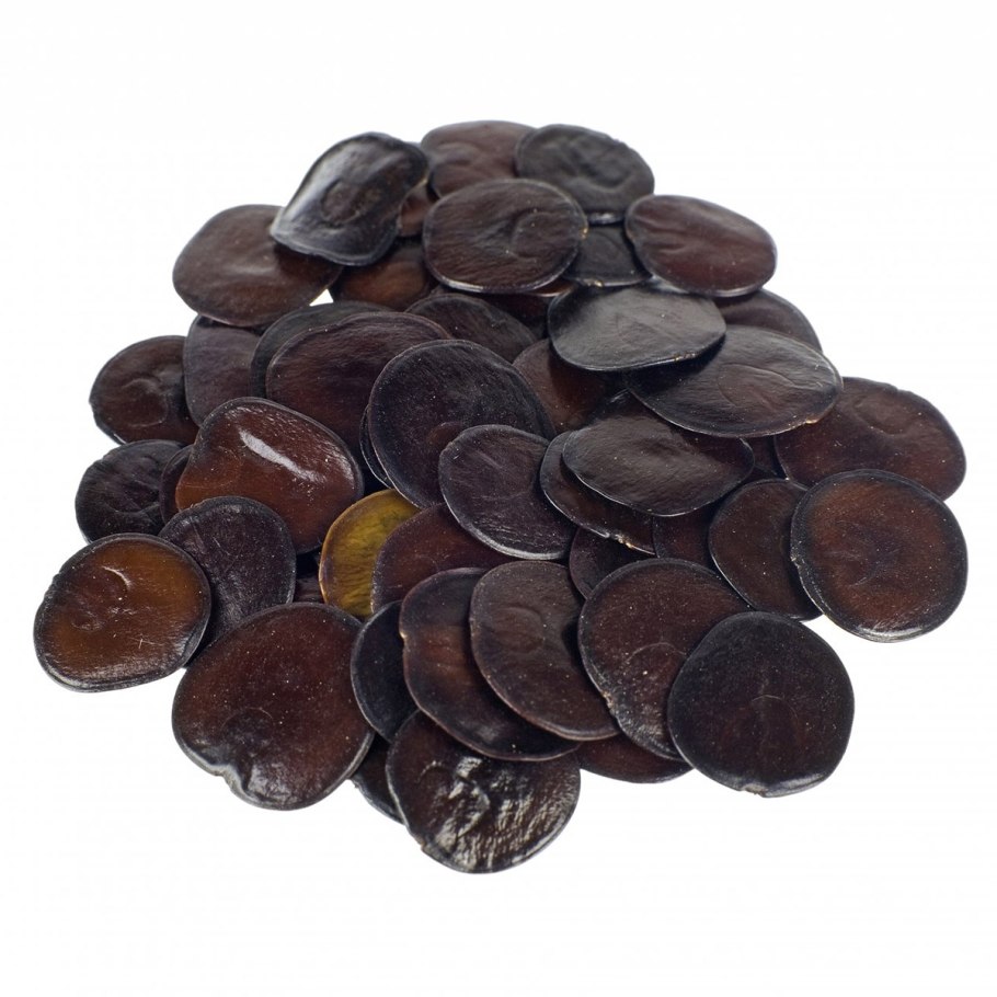 Пиптадения дерево