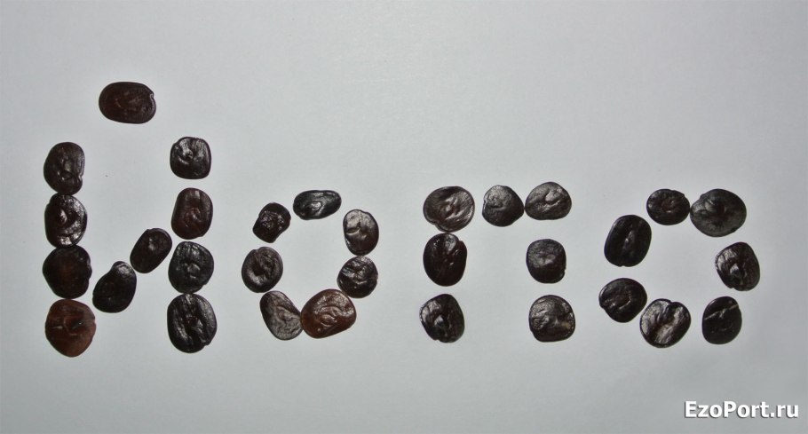 Anadenanthera colubrina / йопо