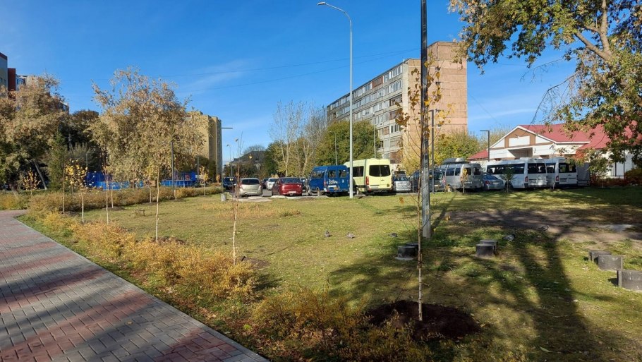 Сажаем деревья