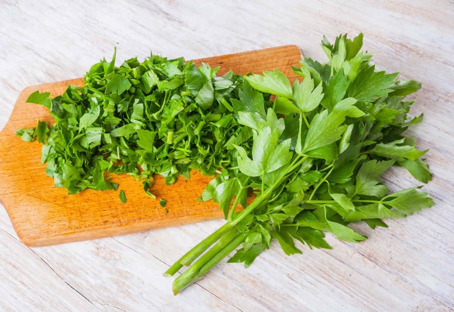 Любисток обыкновенный