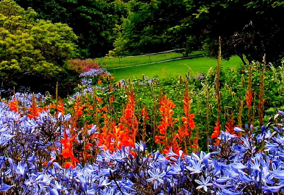 Ботанический сад Кирстенбош