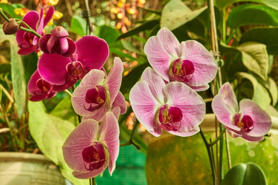 Девушка недовольна парнем