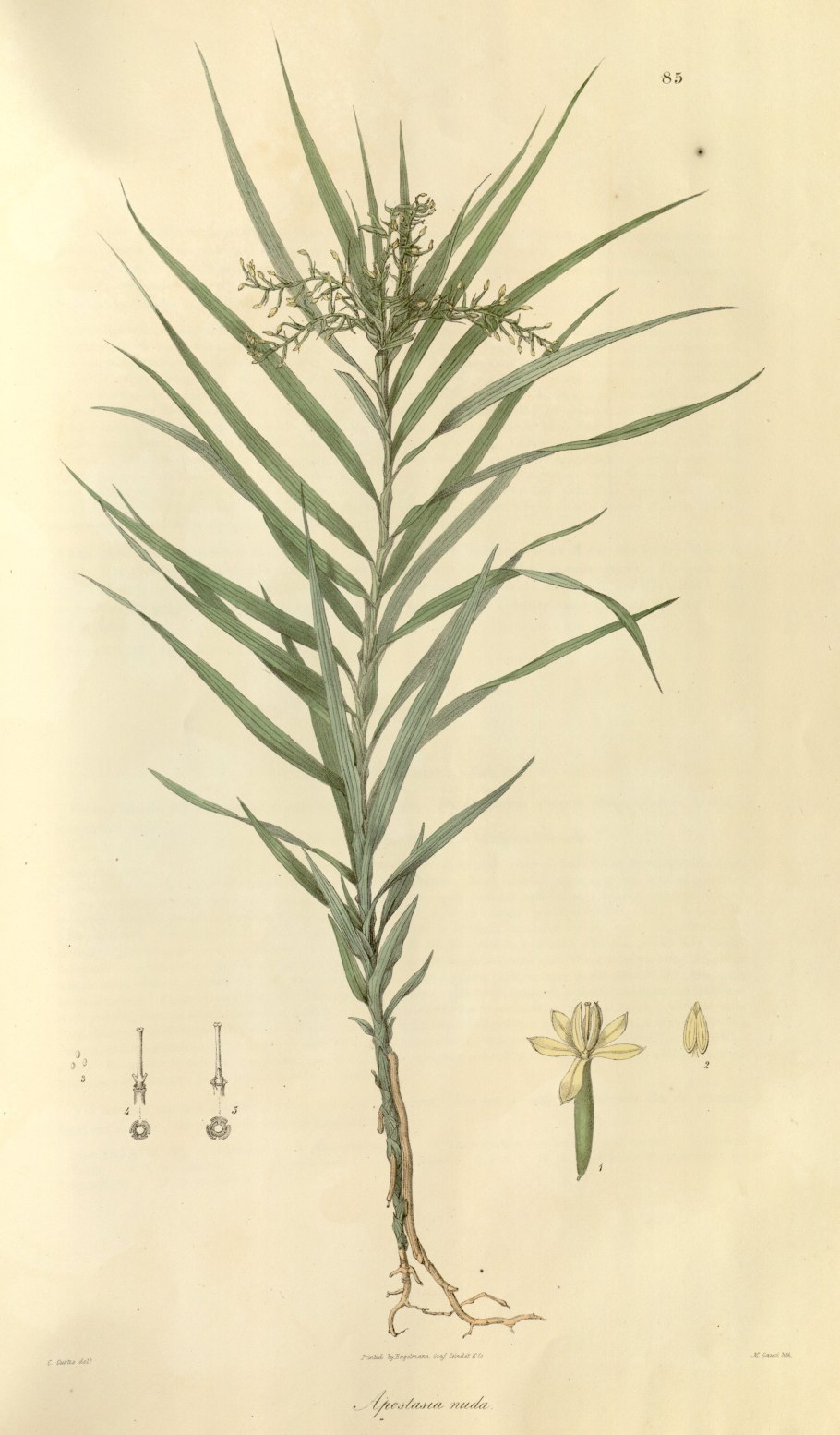 Женщина эмоции