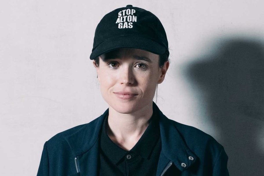 Кошка породы бенгал