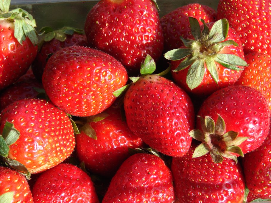 Клубника сорт