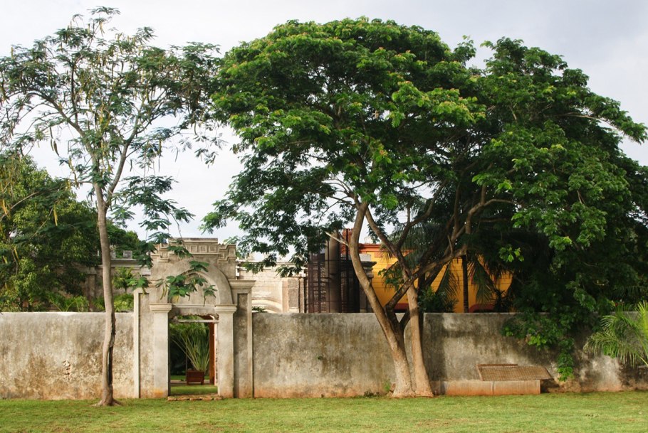 Сады дьявола участки в амазонских лесах