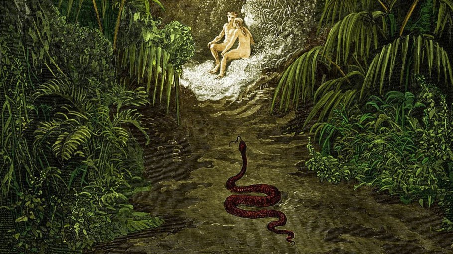 Красное дерево Сельва Южная Америка