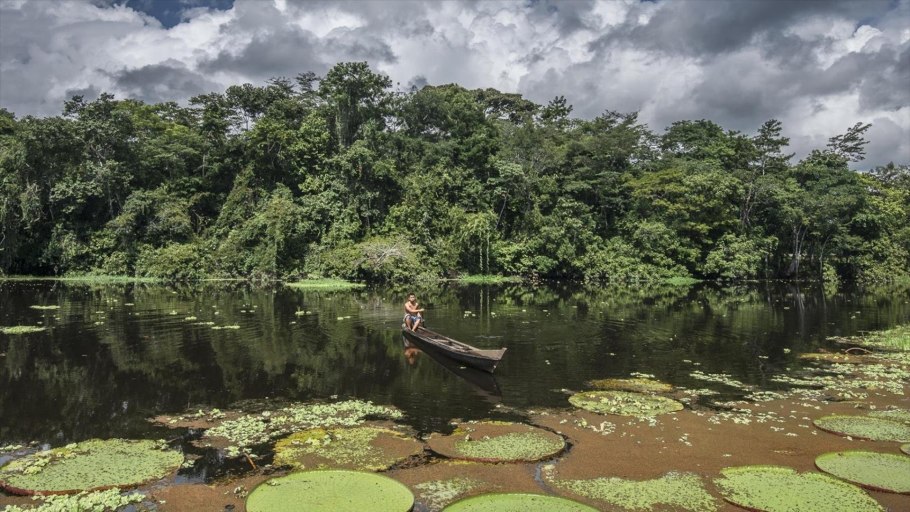 Сельва сады дьявола