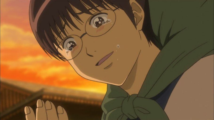 Сейба плоды капок