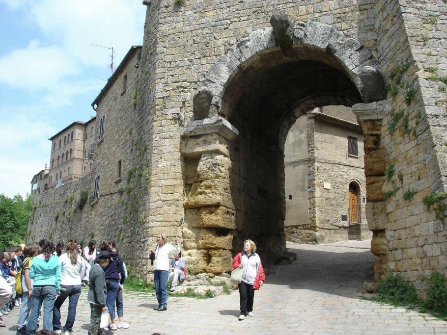 Сейба пятитычинковая