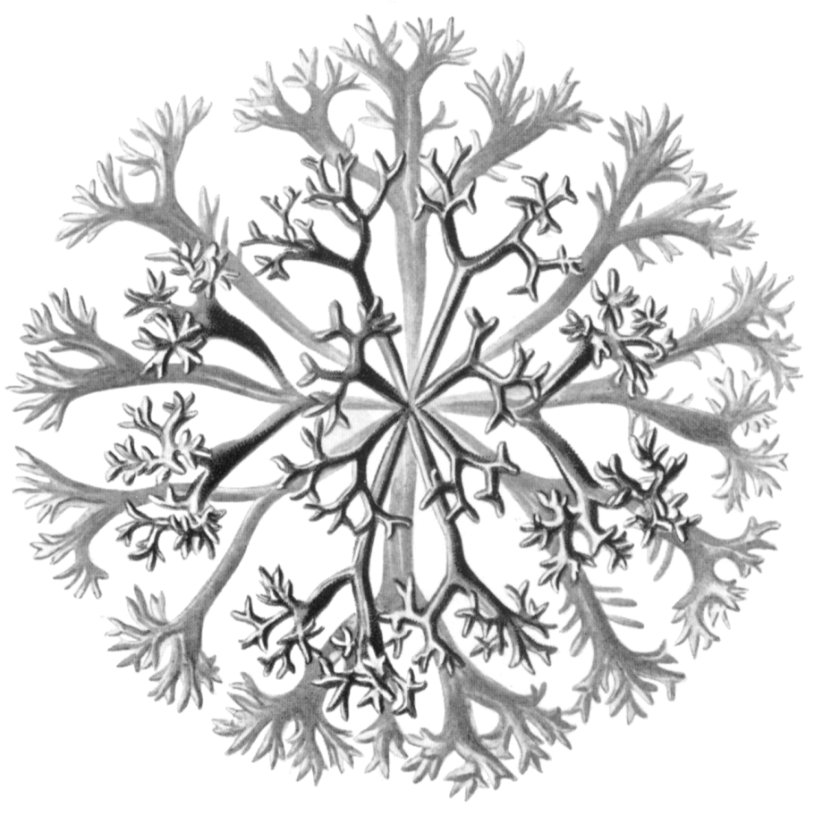 Снежинка схематично