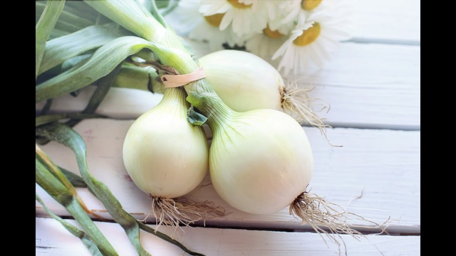 Черемша Байкал