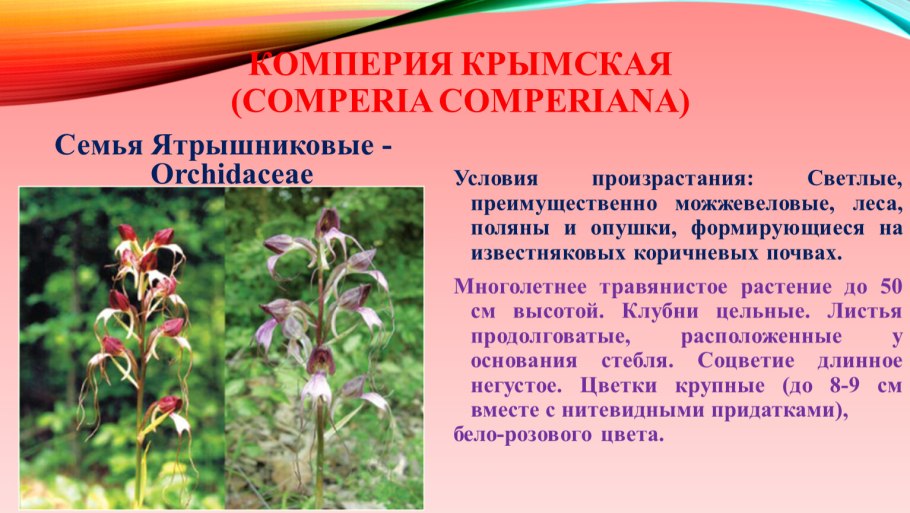 Красная книга Республики Крым растения