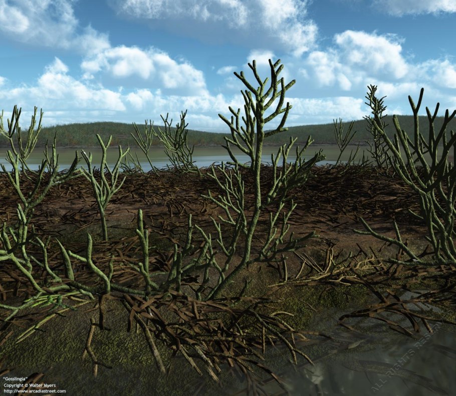 Силурийский период растения