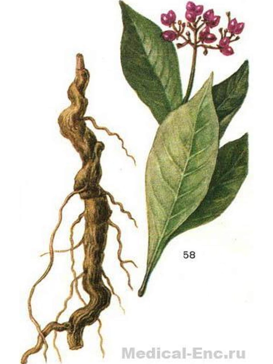 Корни раувольфии змеиной Фармакогнозия