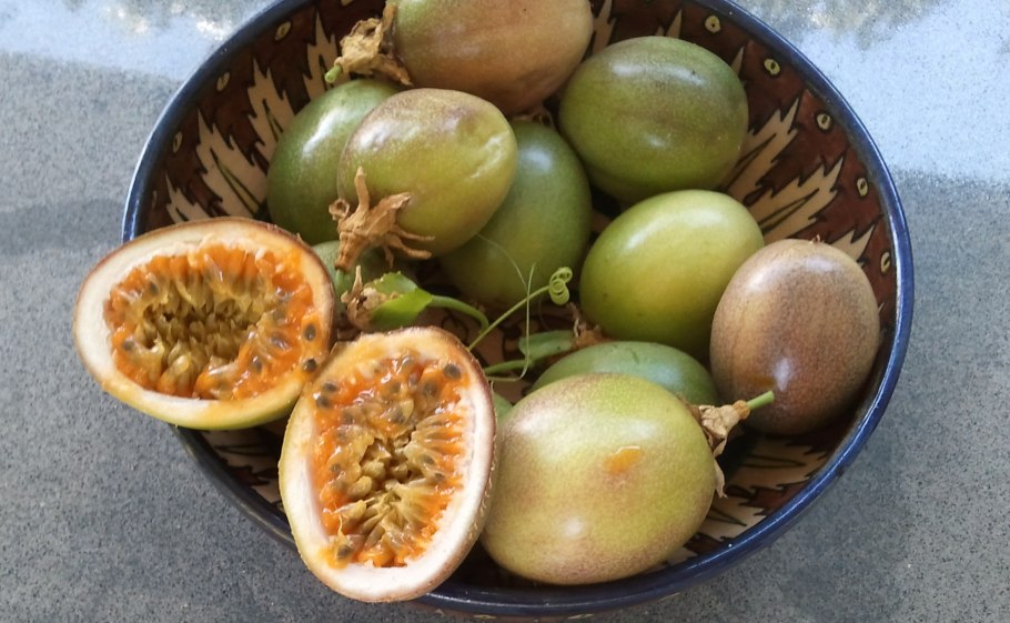 Северный Блэк джекфрут