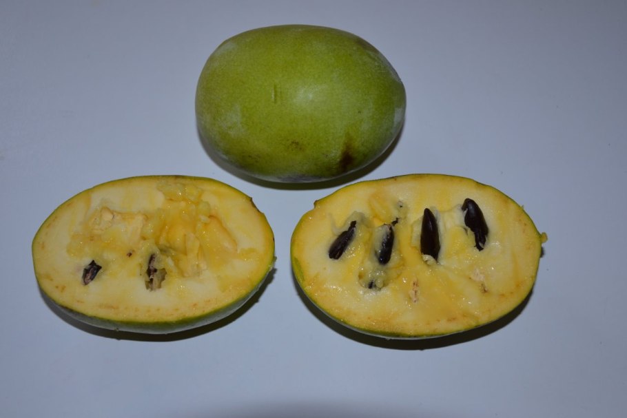 Маракуйя желтая внутри