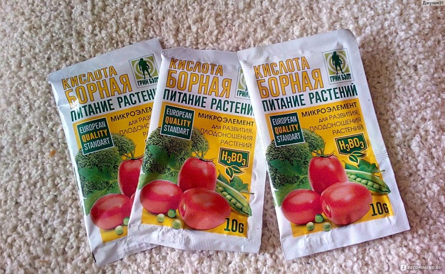 Строение куста томата