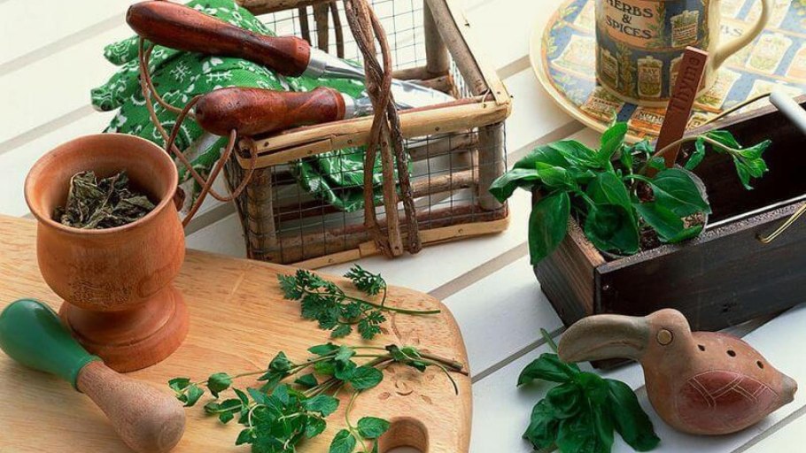 Самые необходимые лекарственные растения Мартин Куреннов