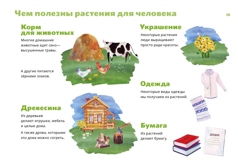 Природные эфирные масла