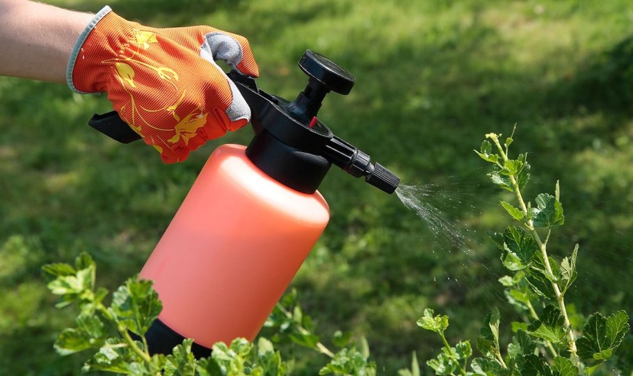 Garden Pest (Гарден Пест) - средство от сорняков