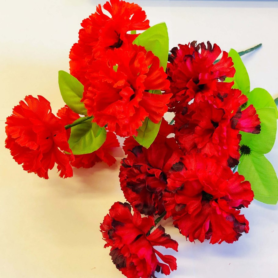 Садовая гвоздика Dianthus CA
