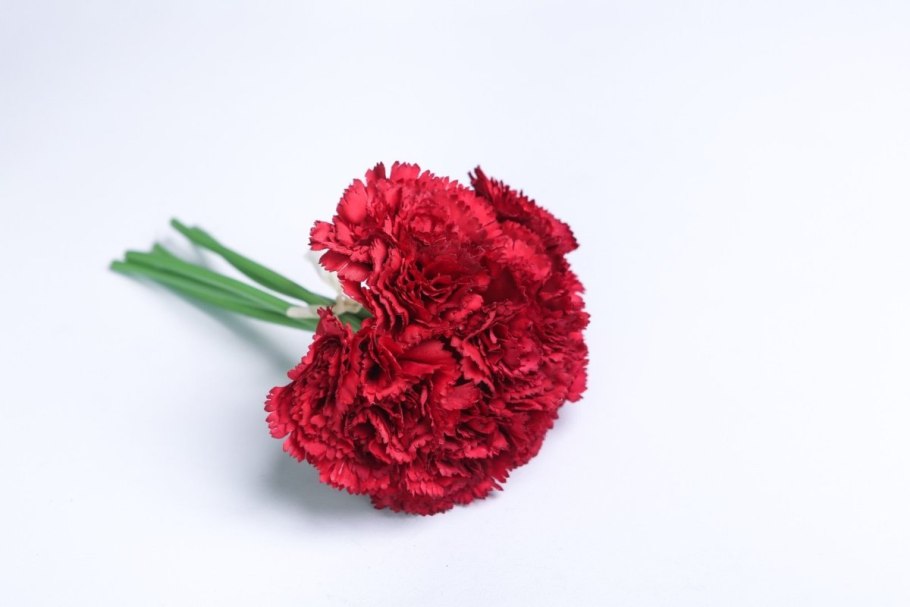 Диантус гвоздика