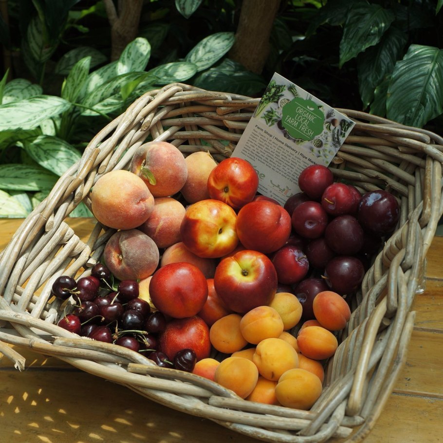 Слива персик черешня абрикос