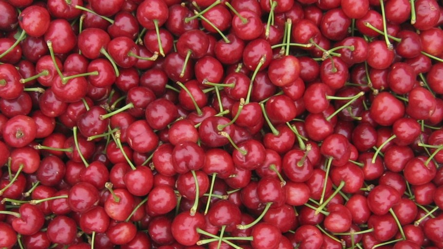 Косточковые плоды и ягода