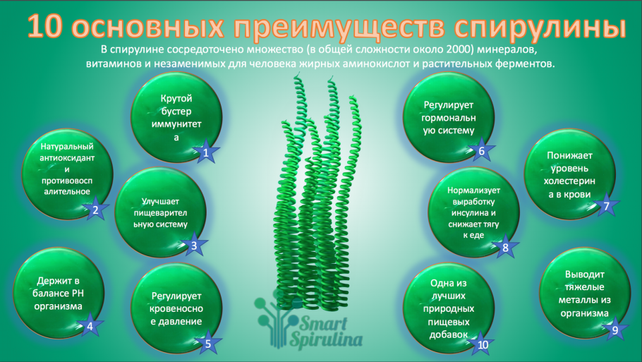 Спирулина полезные свойства