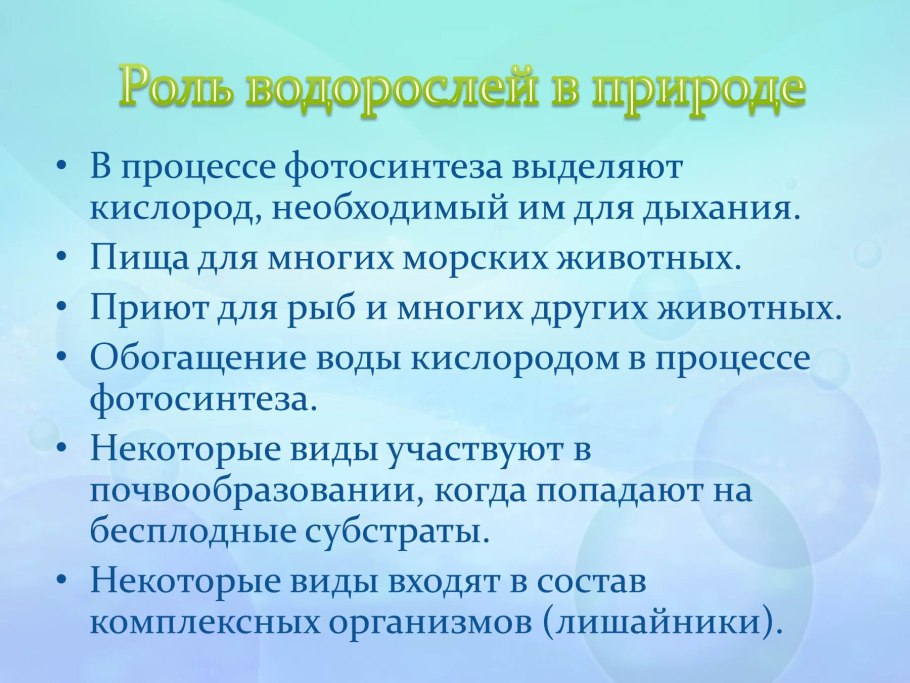 Роль в природе зеленых водорослей