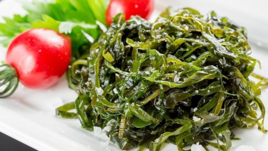 Питание водорослей