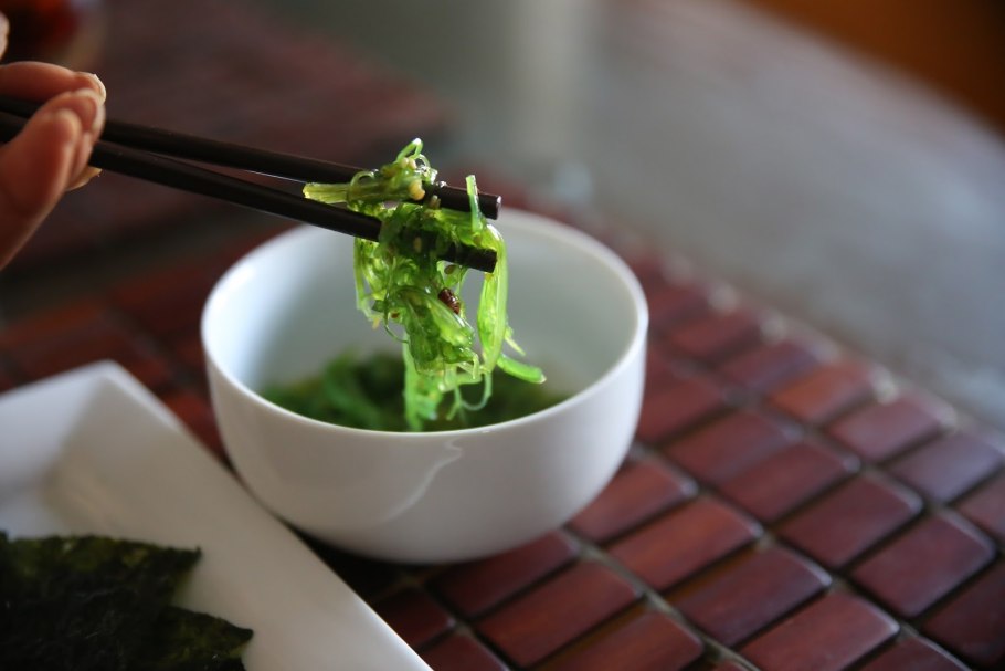 Водоросли и человек