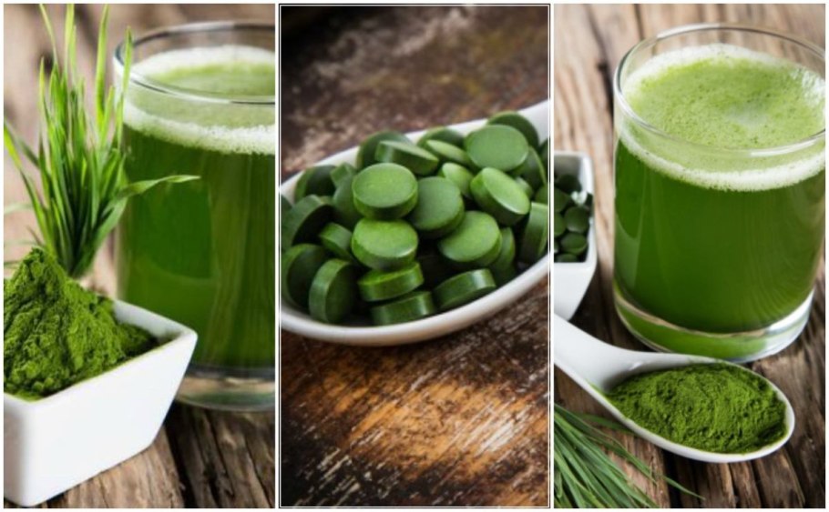 Spirulina водоросль