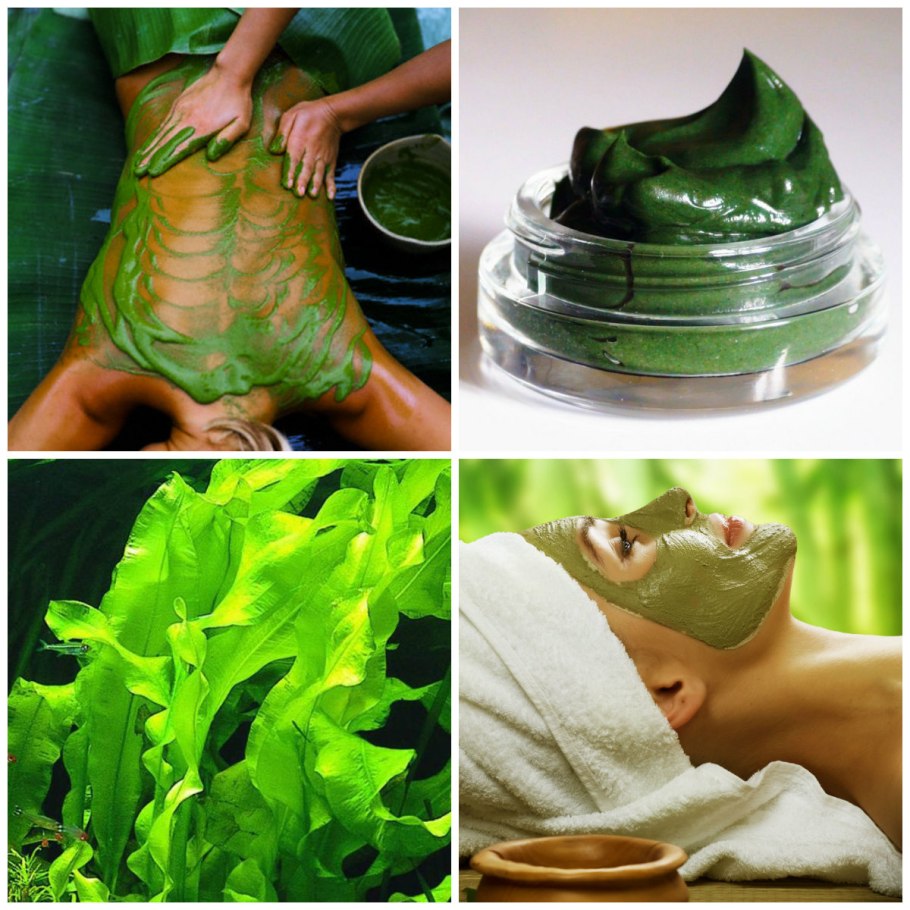 Аквариумное растение