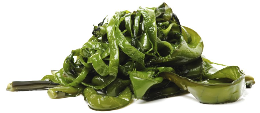 Морская ламинария "вакаме"