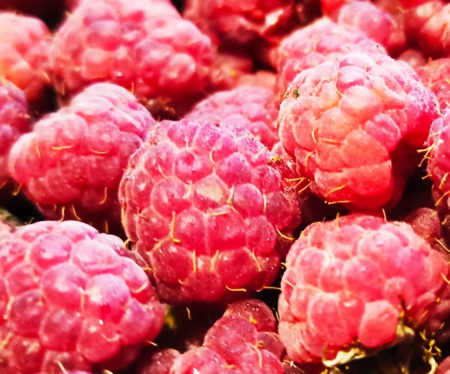 Малина Валентина