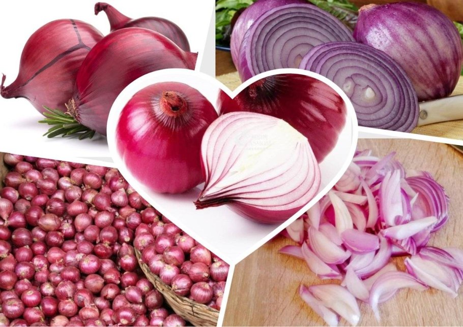 Лук аллиум Розеум