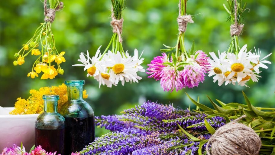 Лекарственные травы