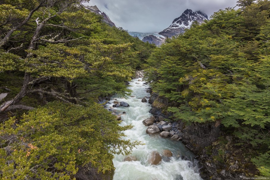 Юрский период Араукари