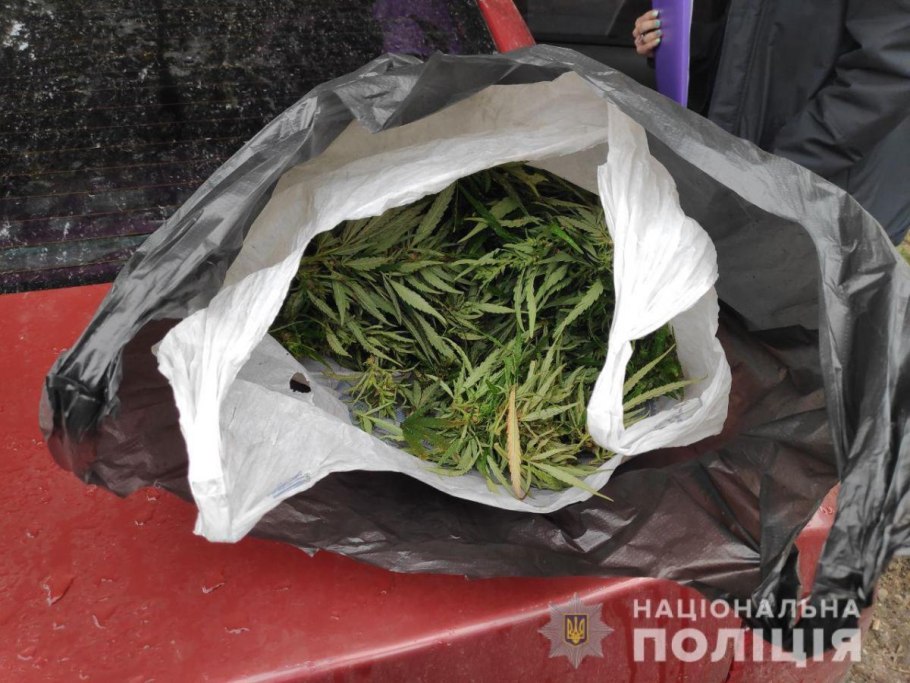 Как незаметно выкопать цветы из парка