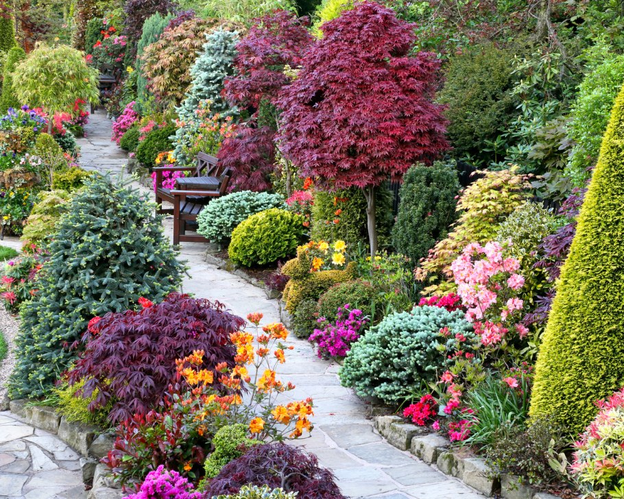 Ландшафт гуллари