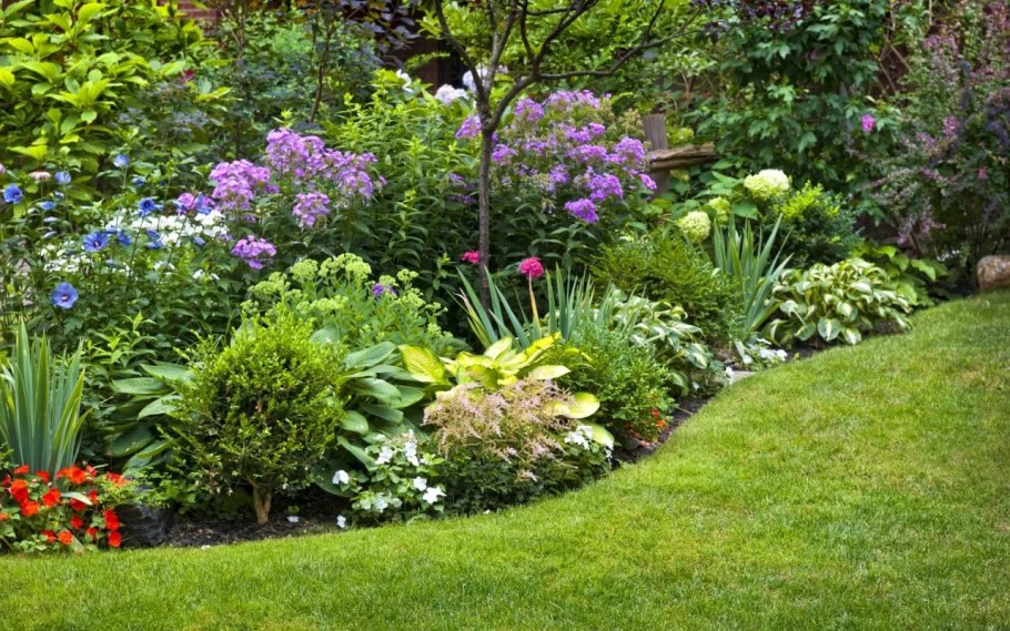 Альпийская горка миксбордер Хоста