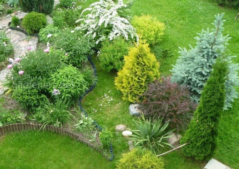 Сад Кудасовой хвойники