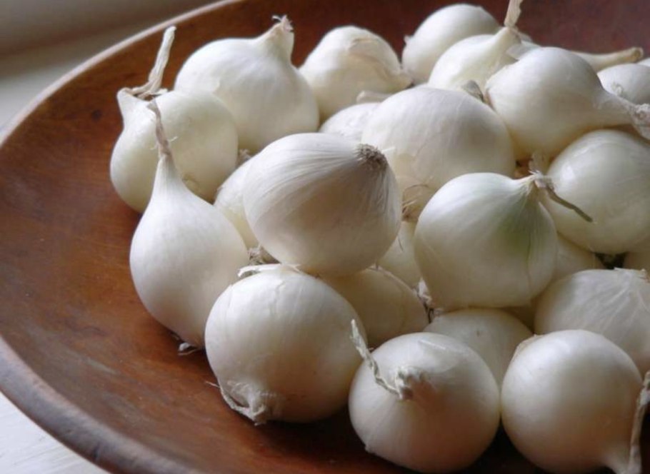 Белый жемчуг сорт лука