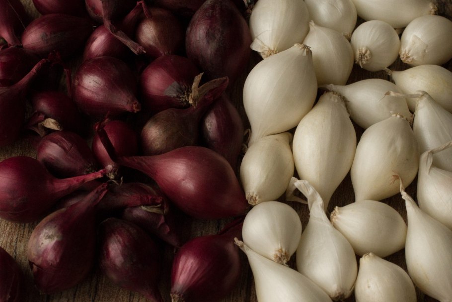 Лук севок Росана