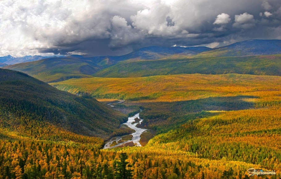 Северная Тайга ЯНАО