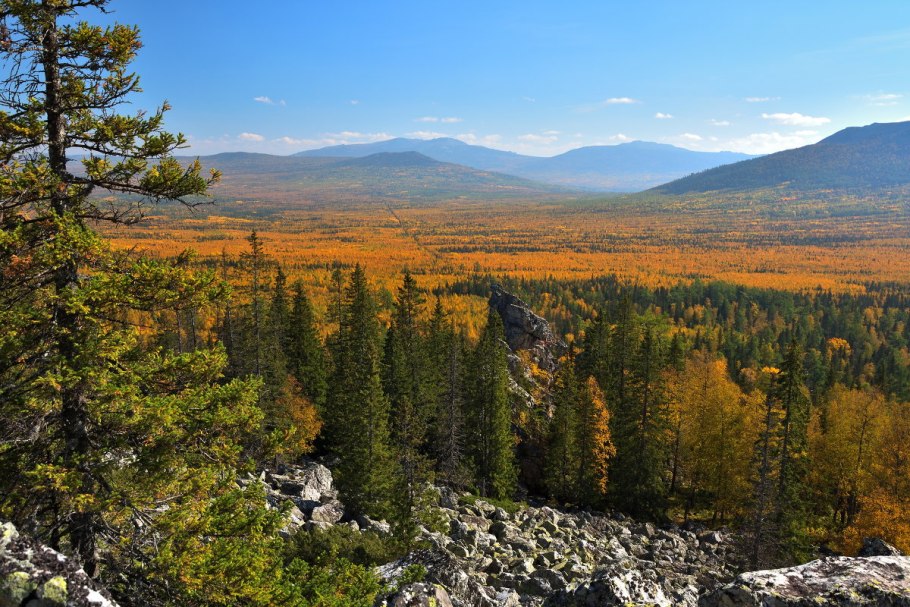 Тайга Северного Урала
