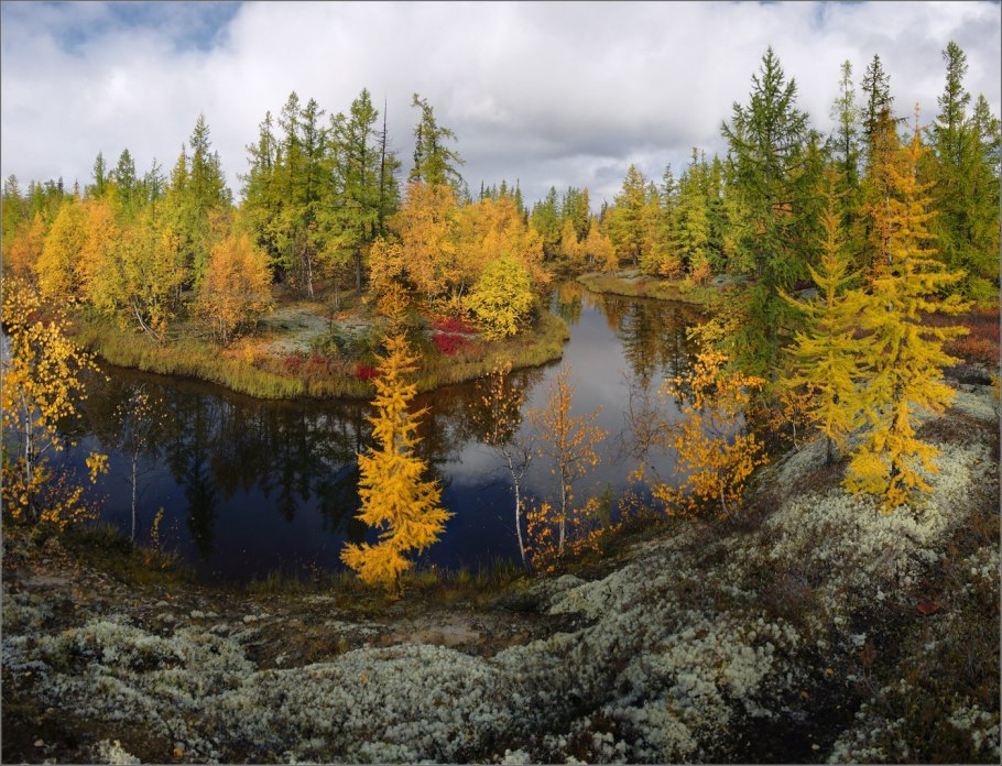 Природа тундра новый уренгой